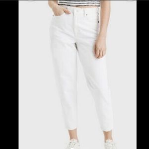 American Eagle | Plus Size Mom Jeans